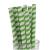 Paper Milkshake Straws - Green Stripe (250)